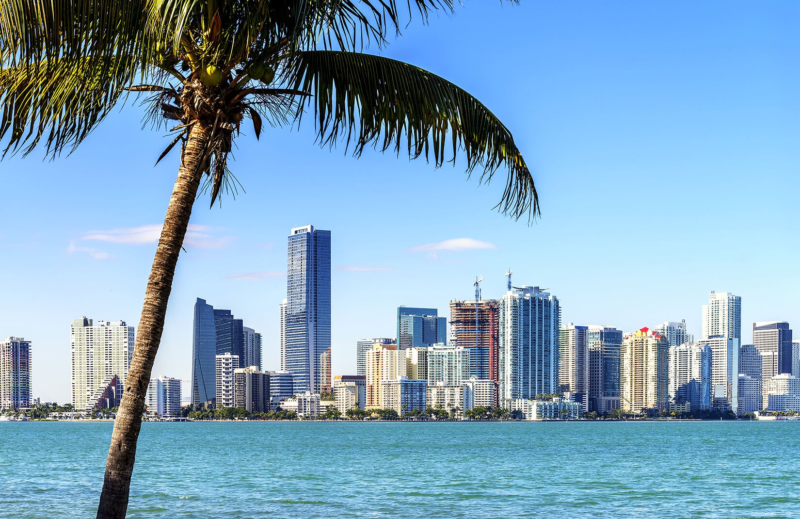 Things to Do in Miami